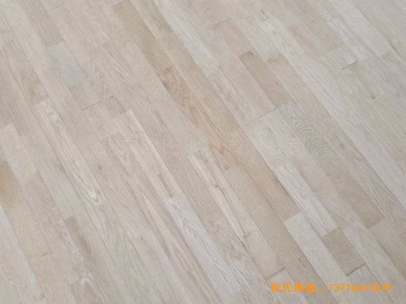 ������ɽ�ǽ�����ˮС�W(xu��)�@���^�w���ذ���b����3