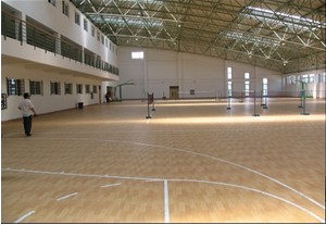室內運動地板 室內運動地板
