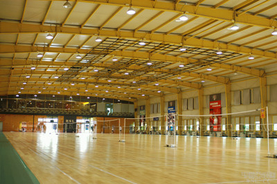 實木運動地板 實木運動地板