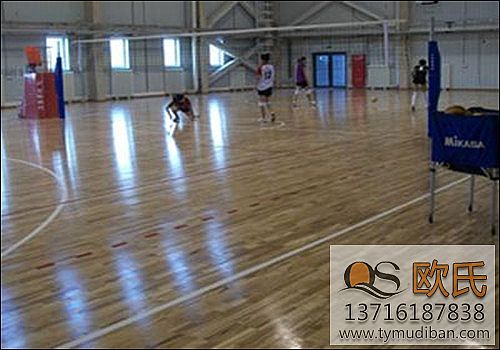 ��ľ�\�ӵذ�