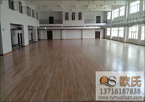 體育運(yùn)動(dòng)地板 體育運(yùn)動(dòng)地板