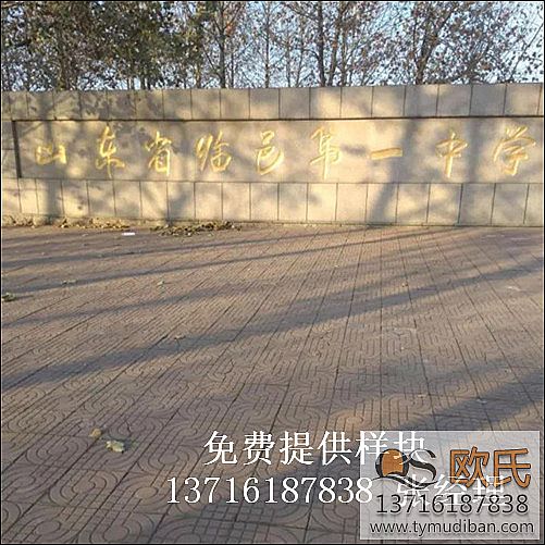 �w����(ch��ng)�^�@���\(y��n)��(d��ng)ľ�ذ尸��-ɽ�|�����R����Ҫ�ЌW(xu��)�w����(ch��ng)�^