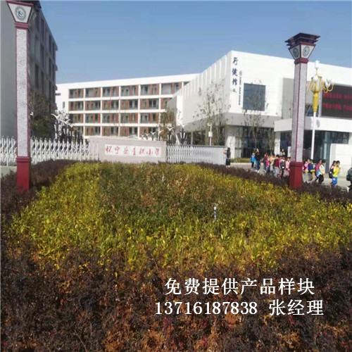 ���Ցь��ǹ�С���@����^�w����ľ�ذ尸����