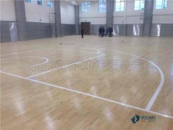 �����w���\��ľ�ذ尲�b��˾