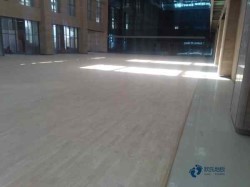 һ��@����صذ�S�҈�(b��o)�r(ji��)