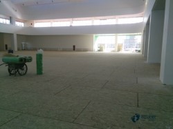 ��ľ�@�����ľ�ذ����ӱ��B