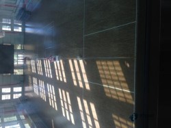 購(gòu)買俄勒岡松舞臺(tái)場(chǎng)地板品牌哪個(gè)好