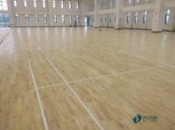 �߶˻@���\��ľ�ذ���ô���B