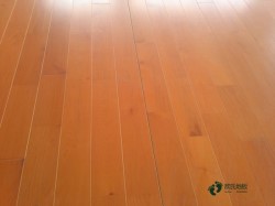 �^�õ��\(y��n)��ľ�ذ��坍�B(y��ng)�o(h��)